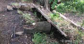 Vandalen slaan meermaals toe in Daknamse Meersen: vernielde banken en brandstichting - Het Laatste Nieuws