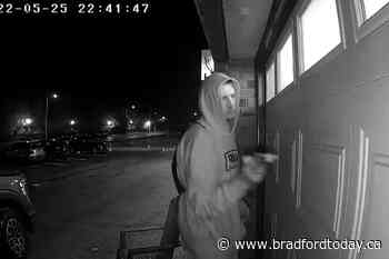 Police continue search for Alliston mischief suspect - BradfordToday
