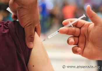 Empiezan a descender casos activos de COVID-19 - Ensenada.net