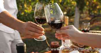 ¡Temporada de Vendimias! 5 Claves para disfrutar del enoturismo en Guanajuato, Ensenada, Coahuila y Querétaro - Revista Central