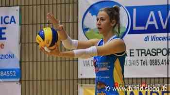 Claudia Palumbo è la nuova schiacciatrice dell'Aurora Volley - BrindisiOggi