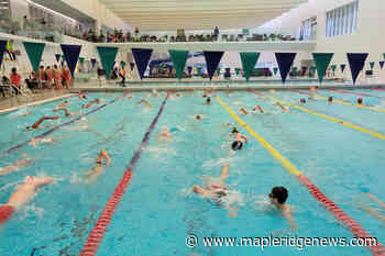 Speedo a sponsor of swim club servicing Maple Ridge and Pitt Meadows - Maple Ridge News