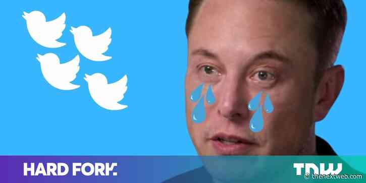 Twitter’s beef with Musk is hurting shareholders — and a court case won’t solve that