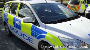 Baring Road Lewisham: Two arrested after youths cause mayhem