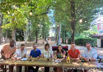 L'opposizione di Gallarate propone di piantare 9mila alberi entro il 2030 - varesenews.it