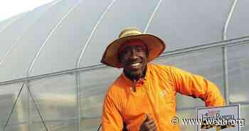 Plantation Park Heights: Baltimore farmer talks AgriHood - WEAA