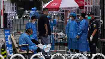 Coronavirus kam wahrscheinlich vom Tiermarkt in Wuhan