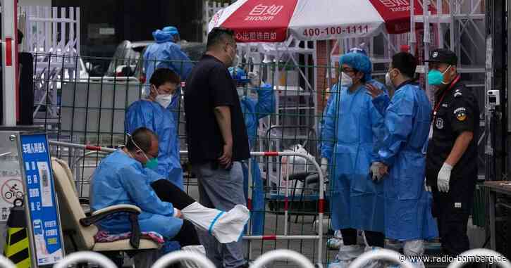 Coronavirus kam wahrscheinlich vom Tiermarkt in Wuhan