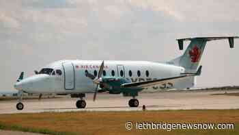 ArriveCan app continues to frustrate users and experts after glitch fix - Lethbridge News Now