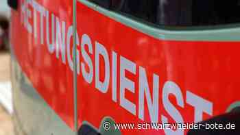 Unfall beim Überholen - Vier Verletzte nach Zusammenstoß bei Altensteig - Schwarzwälder Bote