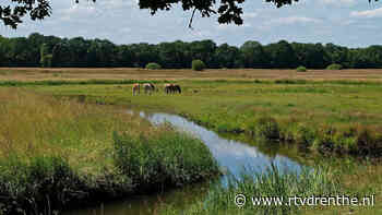 Wat vind jij: Nederland moet in Brussel gaan onderhandelen over de Natura 2000-gebieden - RTV Drenthe