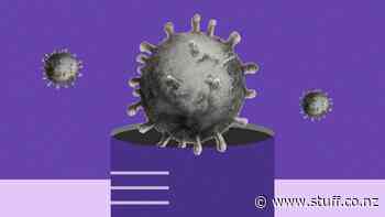 Covid-19: five deaths reported in Nelson-Marlborough - Stuff