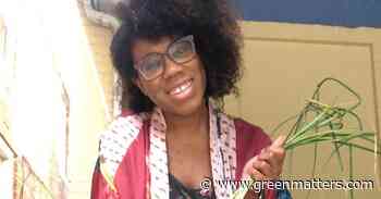 Black Forager on TikTok: Meet TikToker Alexis Nikole Nelson - Green Matters