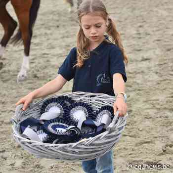 Deze week uitkijken naar Jumping Boechout! - Equnews