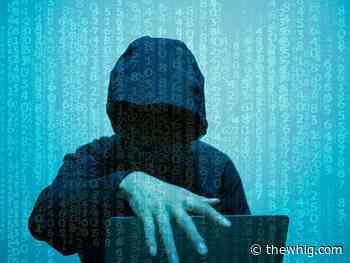 Police warn of celebrity-endorsed cryptocurrency scams - The Kingston Whig-Standard