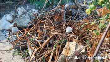 Desenzano del Garda, violato il divieto di balneazione sulla spiaggia-discarica. E dopo un anno ancora nessun… - La Repubblica