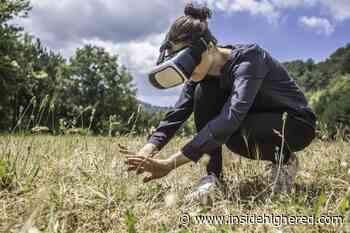Virtual reality boosts students' empathy for nature - Inside Higher Ed