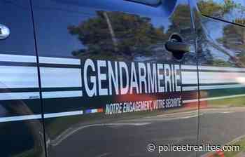 Vidauban. Les gendarmes sauvent un chaton coincé sous le capot d'une voiture - Police & Réalités