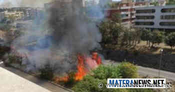 Matera, centro abitato con sterpaglie e rovi: ecco i nuovi divieti per evitare incendi - Matera News