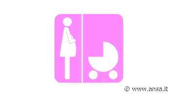 Il Comune di Matera vuole attivare 'stalli rosa' - Agenzia ANSA