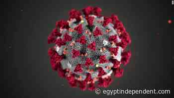 Coronavirus vaccine can be obtained 3 months after recovery: official - Egypt Independent