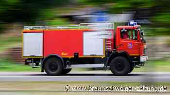 Leichte Entspannung der Lage in Waldbrandgebieten