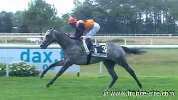 Dax : Sluzewiec reprend du moral - France-sire