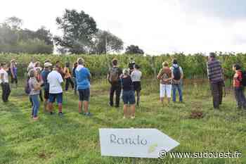 Bénesse-lès-Dax : une randonnée gourmande au domaine de Pribat samedi 30 juillet - Sud Ouest