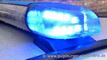 Tiere: Sechs Rinder sterben nach Absturz in den Alpen | Augsburger Allgemeine - Augsburger Allgemeine