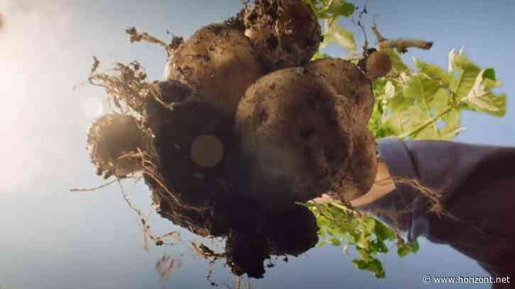 "Den Unterschied schmeckt man": Homann kehrt nach drei Jahren Pause in die TV-Werbeblöcke zurück