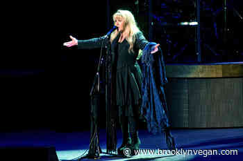 Tour news: Stevie Nicks, Adele, The Cult, Silversun Pickups, and more - Brooklyn Vegan