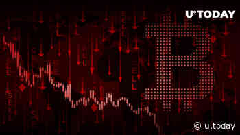 XRP, Cardano (ADA) and Shiba Inu (SHIB) in Red as Bitcoin Dips to $20,000 - U.Today