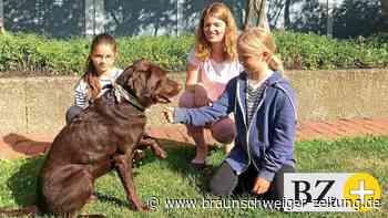 Warum Wolfenbüttels Bücherei einen Lesehund erhält
