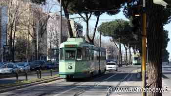 Pini abbattuti su via Prenestina: tutti i cambi alla mobilità per rimuovere le ceppaie