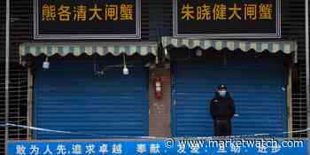 Research shows coronavirus pandemic originated in Wuhan wet market and not from a Chinese lab - MarketWatch