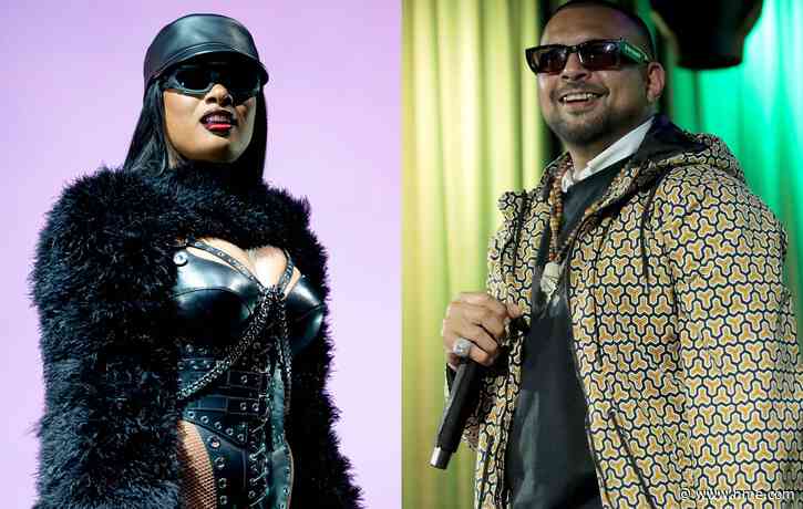 Megan Thee Stallion and Sean Paul sued over alleged copyright infringement on ‘Go Crazy’