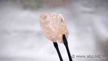 Australian mining company unearths rare 170 carat pink diamond believed to be largest seen in 300 years