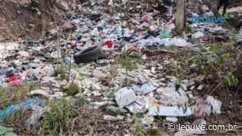 Lixo a céu aberto incomoda moradores do bairro Charqueadas, em Caxias do Sul - Portal Leouve
