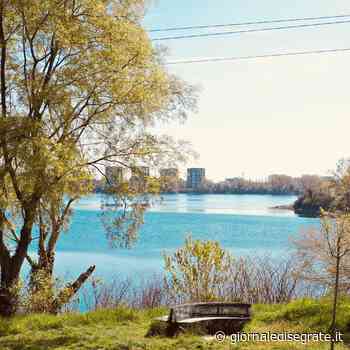 "Piano caldo", tutti i servizi garantiti e i numeri utili - Giornale di Segrate