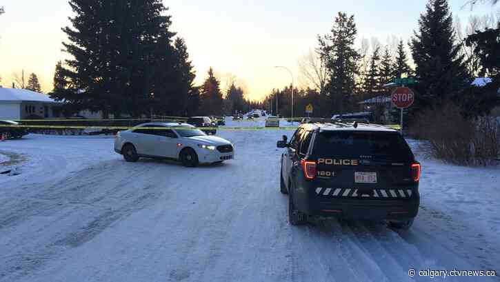 Sentencing arguments for Calgary man who ran down and killed his wife with U Haul van