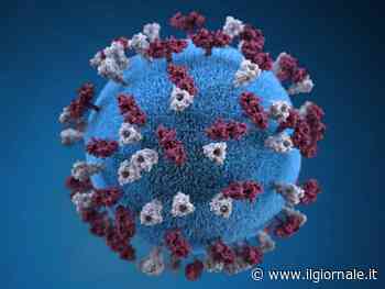 "Adesso il Covid è diventato più buono": lo studio