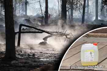 Brandgefährlich: Polizei findet Benzinkanister bei illegaler Party in Dresdner Heide - TAG24