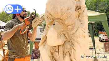 Dübener Heide: Im Hammerbachtal kreischen wieder die Kettensägen - Leipziger Volkszeitung