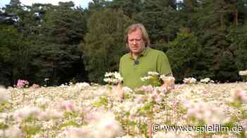 die nordstory – Mutige Bauern in der Heide im TV - Sendung - TV SPIELFILM - TV Spielfilm