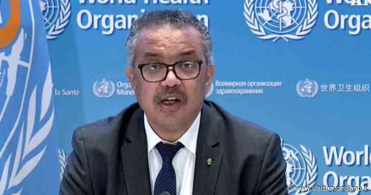 Vaiolo delle scimmie, Oms: “Mancano dati di efficacia dei vaccini”. New York chiede il cambio di nome della malattia