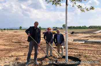 Die erste Baumspenderin will Vorbild sein - Mannheimer Morgen