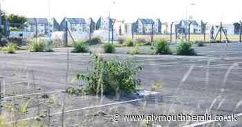 LETTER: Plymouth Airport development 'will only benefit Sutton Harbour Holdings' - Plymouth Live