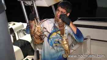 South Florida Fishermen Battle Bad Weather During First Morning of Lobster Mini-Season