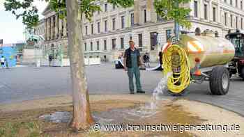 Stadt Braunschweig bittet Bürger: Gießt die Bäume!