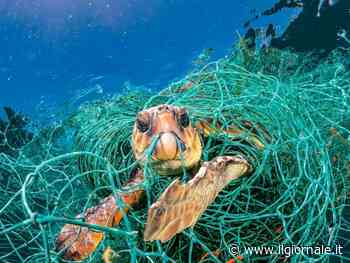 Mari e oceani invasi dalla plastica: le foto di National Geographic